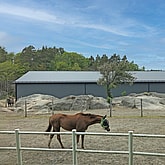 Ridehall Søgne | BORGA